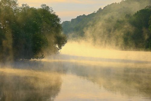 Flussnebel an der Ruhr