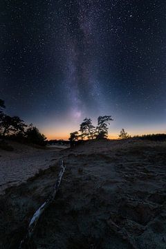 Kootwijker Nacht von Jeroen Diks