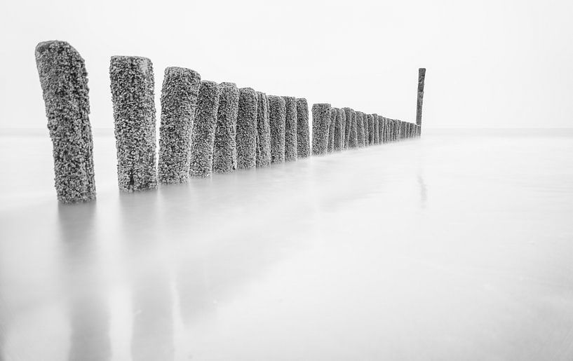 Postes par Ellen van den Doel