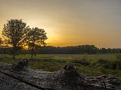 Sonnenuntergang Leudal von Wendy Drent Miniaturansicht