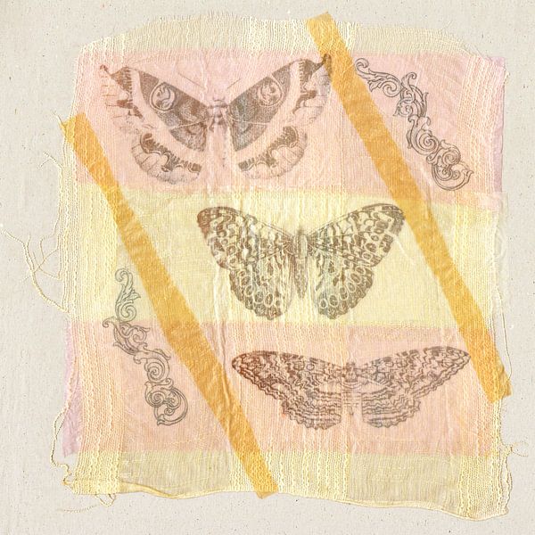 butterflies on fabric by Hella Kuipers