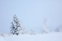 winter in Alaska