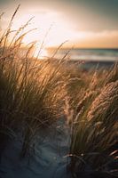 Gräser am Sandstrand V3