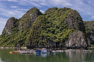 Insel in der Halong-Bucht mit schwimmenden Häusern