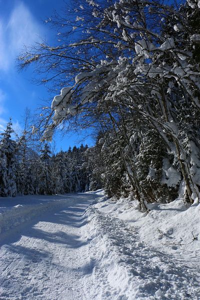 Die Schönheit des Winters van Christiane Schulze