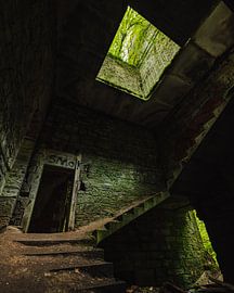 Wo die Natur das Schloss zurückerobert 4 von Jip van Bodegom
