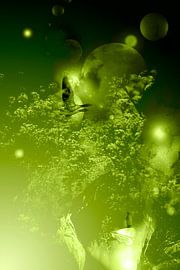 SICHERES HAUS: DIE GRÜNANLAGE von Ted van den Aarssen