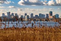 Skyline aan de plas