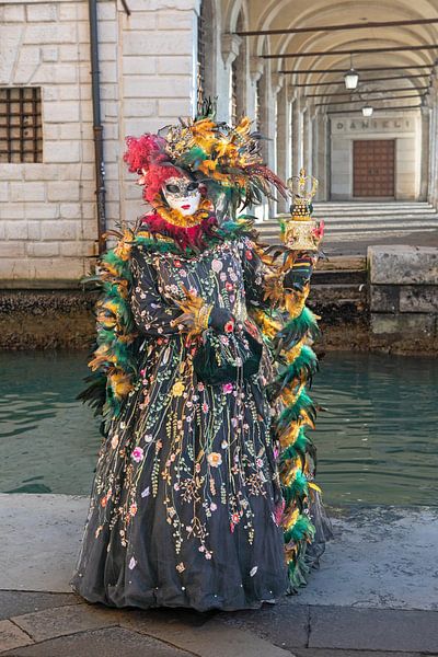 Carnaval in Venetië - Mooie kostuums in de arcades van het Dogenpaleis van t.ART
