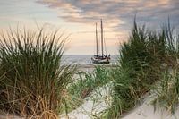 Schiff fällt am Strand von Amelander trocken