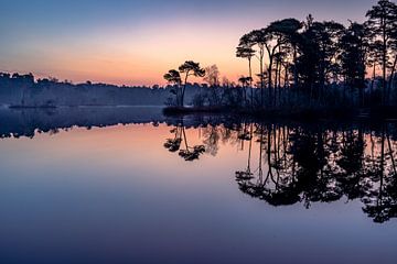 Zonsopgang bij het Ven van Andy Luberti