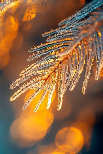 Christmas magic by Poster Art Shop