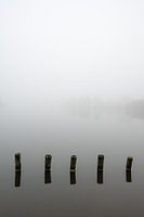 Een uitzicht op de mist