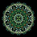 Mandala der Pflanzen von Bernice Bartling Miniaturansicht