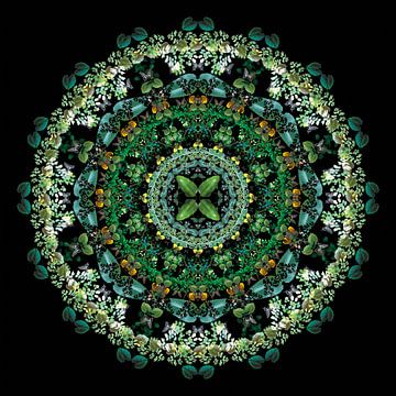 Mandala van Planten van Bernice Bartling