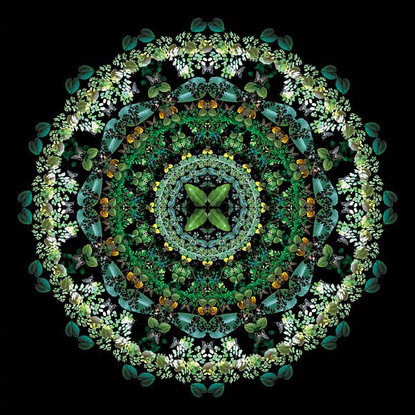 Mandala van Planten van Bernice Bartling