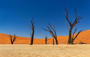 Sossusvlei Namibië (2) van Adelheid Smitt