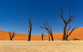 Sossusvlei Namibia (2)