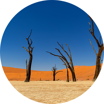 Sossusvlei Namibië (2) van Adelheid Smitt