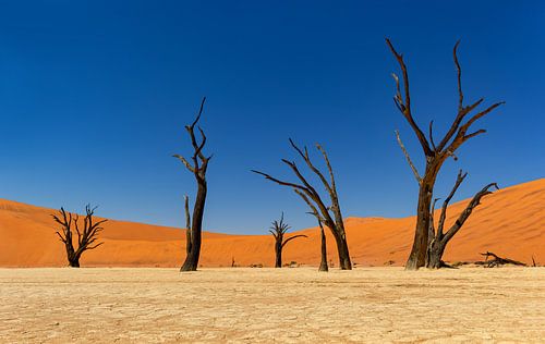 Sossusvlei Namibië (2)