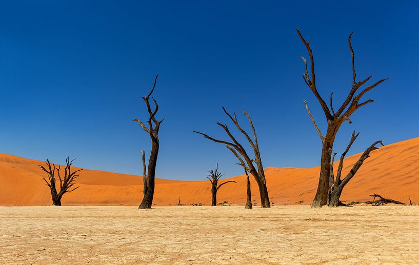 Sossusvlei Namibia (2) by Adelheid Smitt