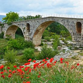 Pont Julien en arche romaine en pierre sur le Calavon près d'Apt (France) avec au premier plan un ch sur Gert Bunt