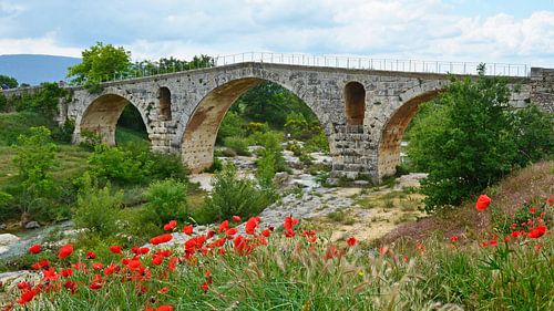 Pont Julien en arche romaine en pierre sur le Calavon près d'Apt (France) avec au premier plan un ch
