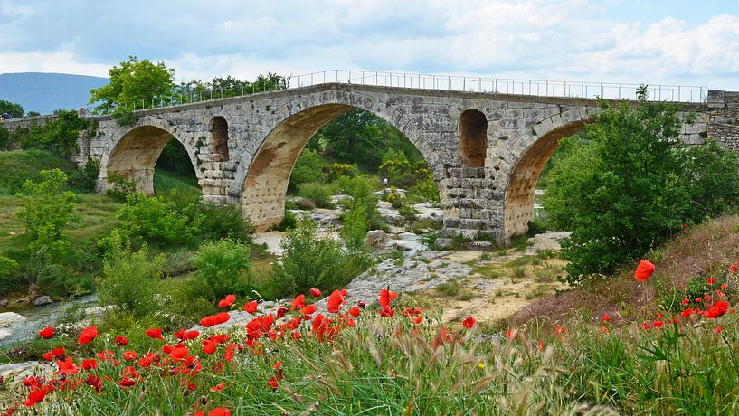 Stone Roman arch bridge Pont Julien over the river Calavon near Apt (France) with in the foreground  by Gert Bunt