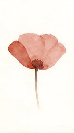 Einzelne Mohnblume in Rot-Rosa von Kristin M