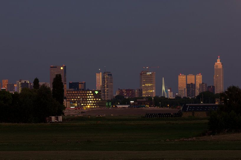 Rotterdam by Brandon Bouwman