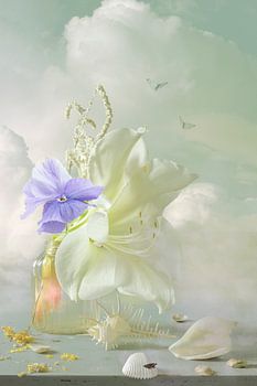 Amaryllis in einer Glasvase mit Geige