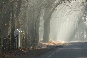 Ein schöner Wintermorgen in Bergen op Zoom