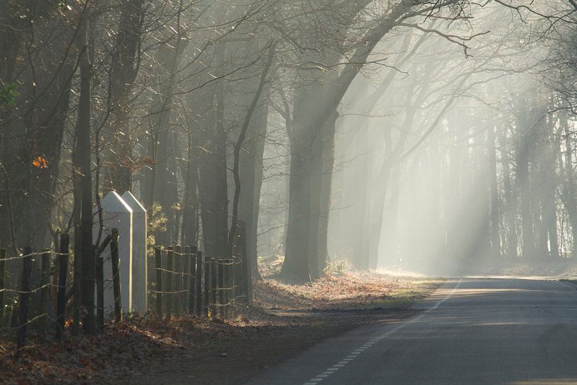 Ein schöner Wintermorgen in Bergen op Zoom von Sabina Meerman