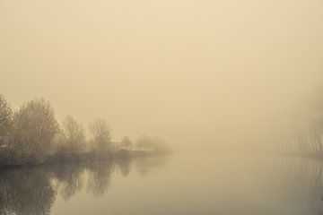 Het ontwaken van bomen in het ochtendlicht. Monochroom. van Femke den Hollander