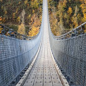 Hangbrug van Geierlay, Duitsland in herfst van Bart Ceuppens