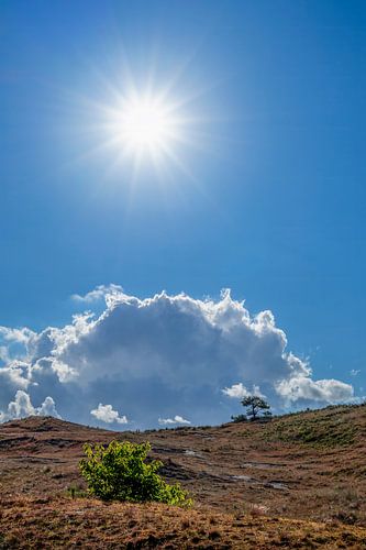 In de duinen op Vlieland met sunburst (zonnestralen)