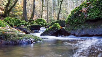 Beek in fris groen van Frederic Bauer