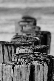 paal hoofden  by wendy wisse