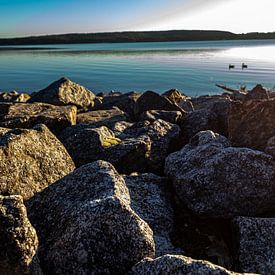 Ufer am See von Oguz Özdemir