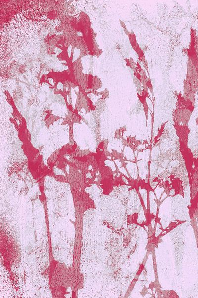 Pink flowers. Abstract Botanical. Flowers, plants and grasses in pastel magenta, pink by Dina Dankers