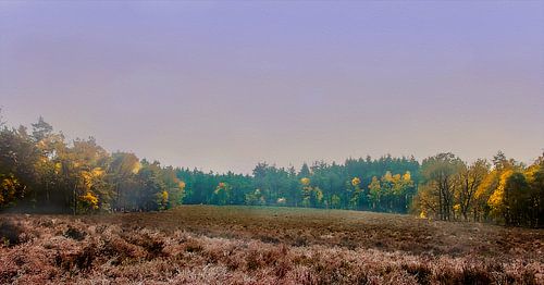 Het prachtige Landschap van Kwintelooyen