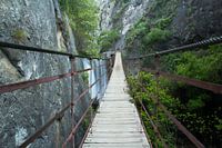 The Walking Bridge