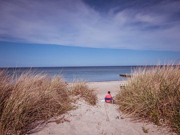 Dünen am Strand an der Ostsee von Animaflora PicsStock