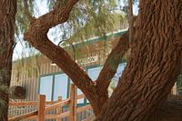 Death Valley Stove pipe wells 4