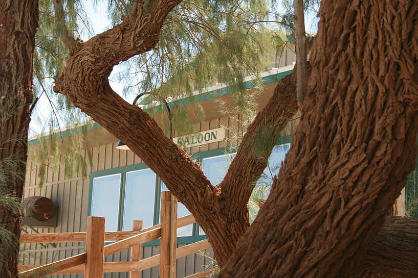 Death Valley Stove pipe wells 4 par Karen Boer-Gijsman