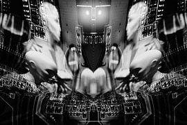 Digitales Anstarren von Johannes Schotanus