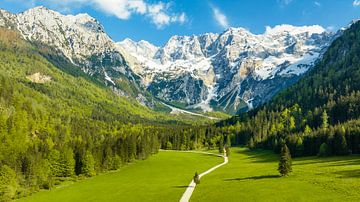 Vallei in de Alpen in de lente