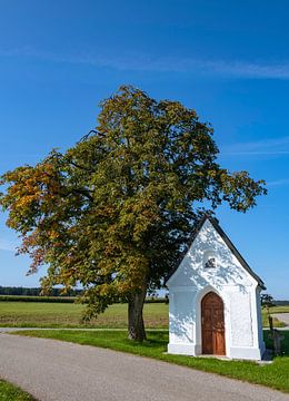 Kastanjeboom en kapel bij Walding van Peter Baier