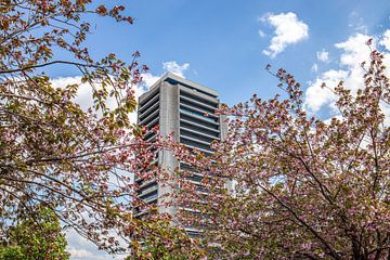 Provinciehuis Den Bosch met Bloemen van Zwoele Plaatjes