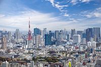 Faszinierende Tokio Skyline